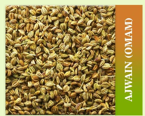Carom seeds / ஓமம்