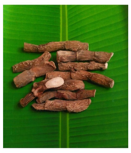 Sweet Flag / வசம்பு