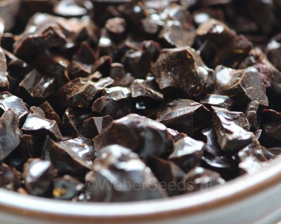 Black Catechu / காசிக்கட்டி