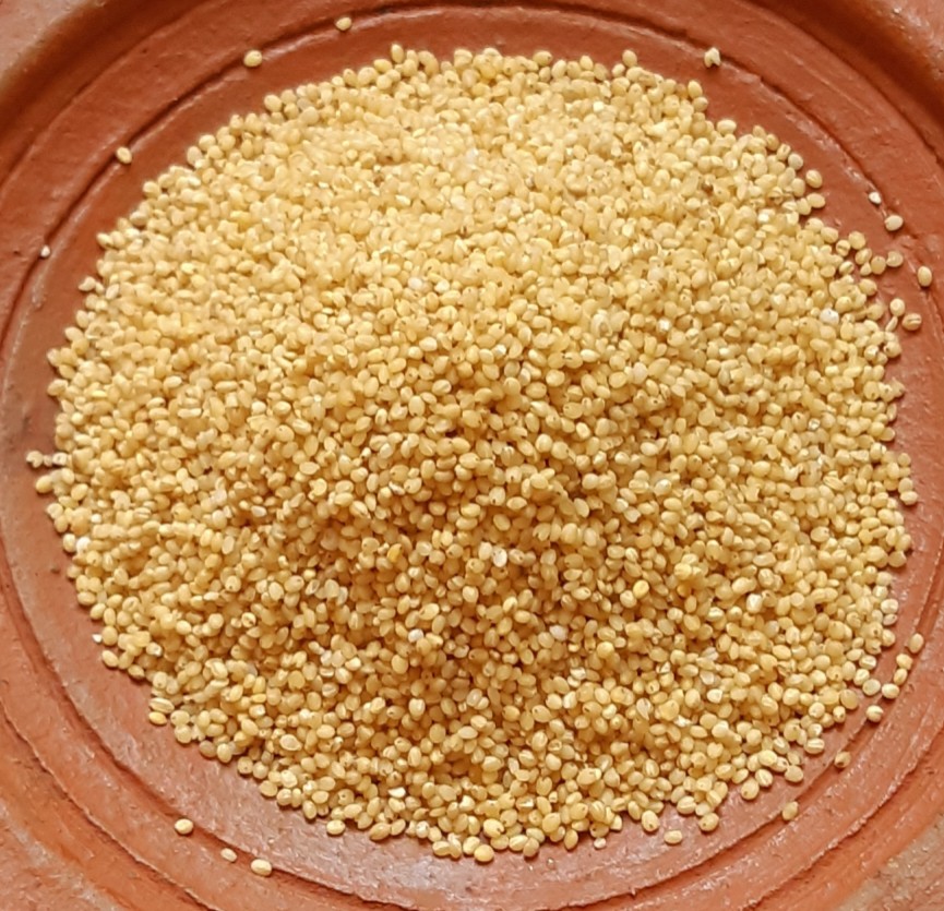Foxtail Millet / தினை அரிசி