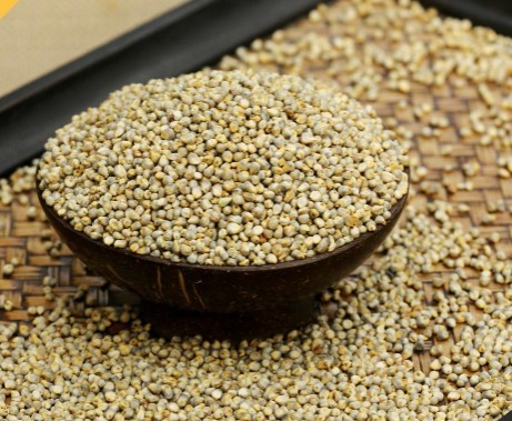 Pearl Millet / கம்பு