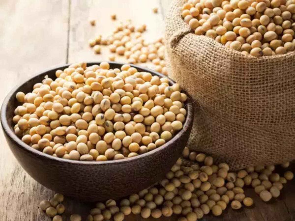 White Soya Beans / வெள்ளை சோயா பீன்ஸ்