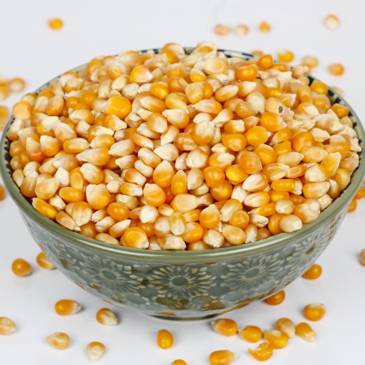 Popcorn Corn / பாப்கார்ன் சோளம்