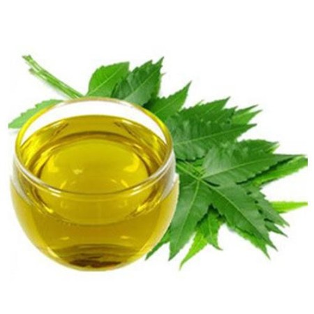 Neem Oil/ வேப்பெண்ணெய்