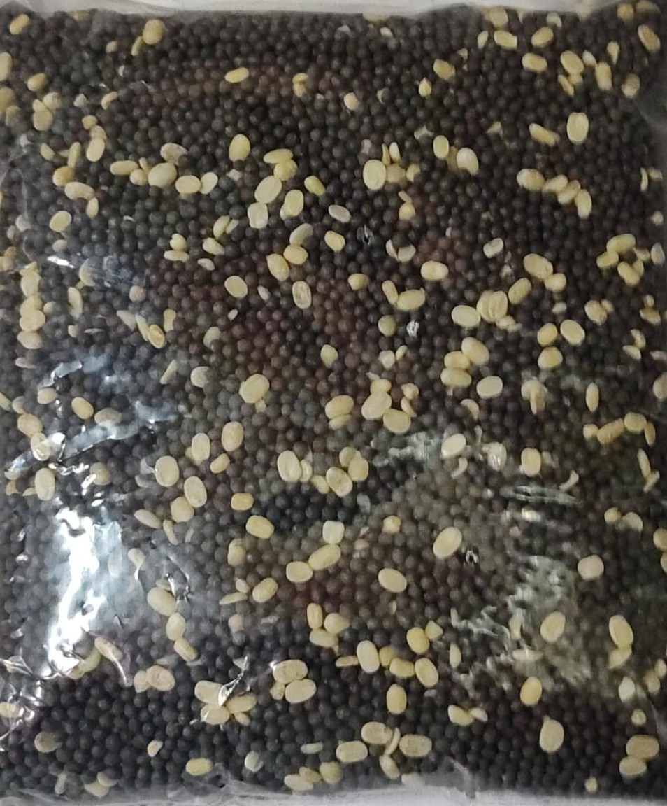 Kadugu Ulunthu / கடுகு உளுந்து