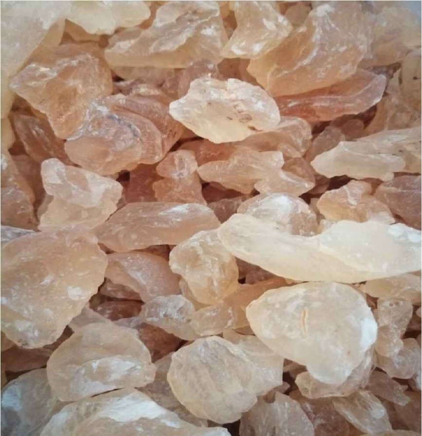 China Grass / கடல் பாசி