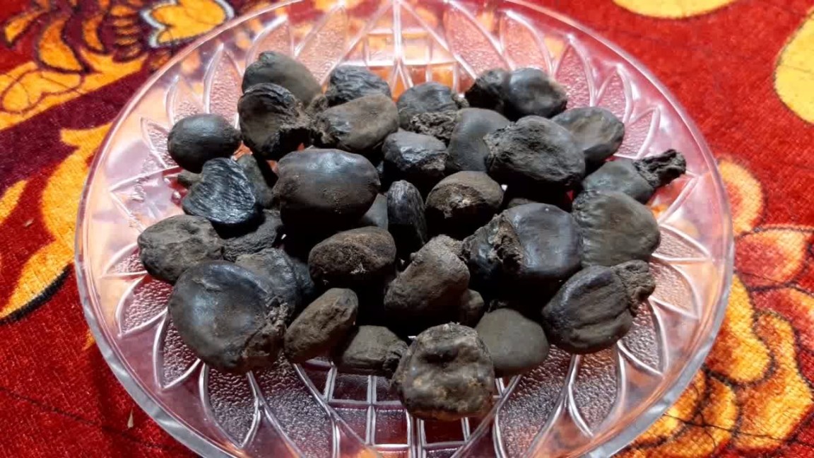 Seengottai / சேங்கொட்டை