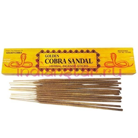 Golden Gobra Sandal Pathi