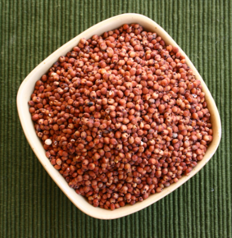 Sorghum / இரும்பு சோளம்