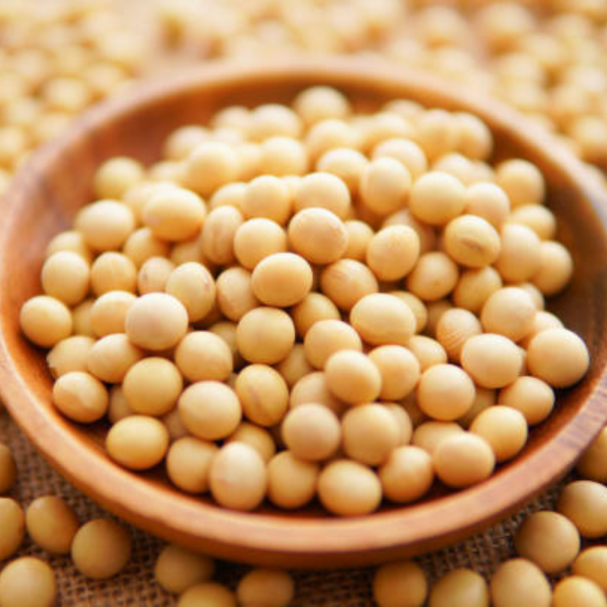 White Peas / வெள்ளை பட்டாணி